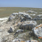 CIMG2842.JPG