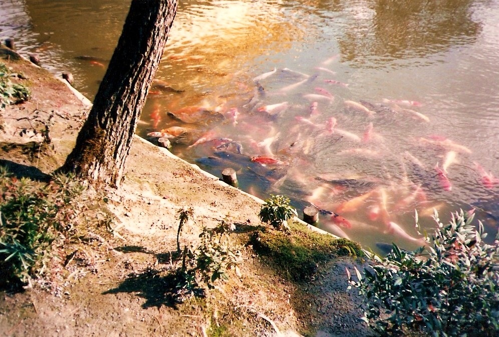 [scan00965.jpg]