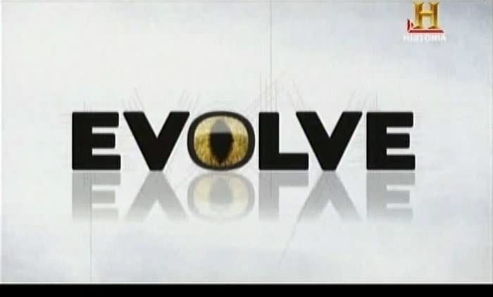 [Imagem: Evolucao.jpg]