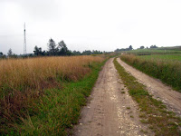Drogą pośród pól... Photo