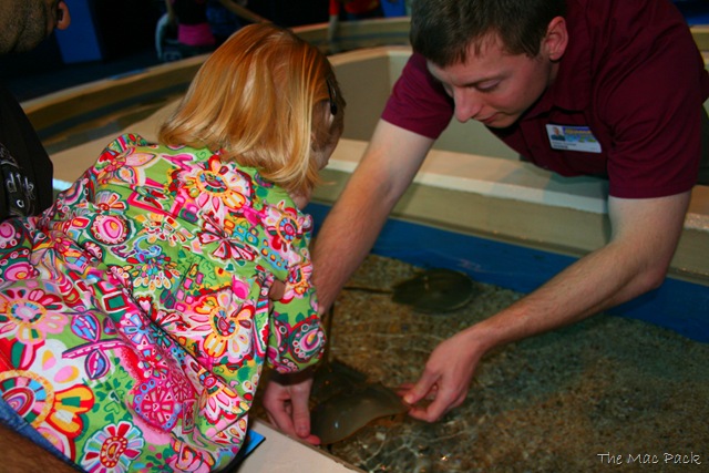 [20090123 - Ripley's Aquarium (62)[7].jpg]