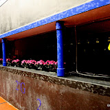 IMG_9279.JPG