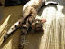 dscn0071.jpg
