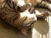dscn0069.jpg