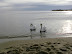 DSCN1436.JPG
