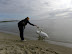 DSCN1439.JPG