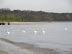 DSCN1441.JPG