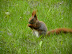 DSCN1383.JPG