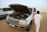 IMG_5259.JPG