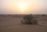IMG_5265.JPG