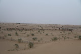 IMG_5327.JPG