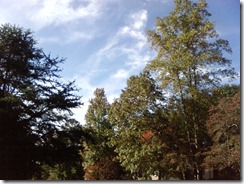 Beautiful_Day