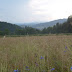 S6302269.JPG, 2009-07(1) VOYAGE SUISSE-ALLEMAGNE
