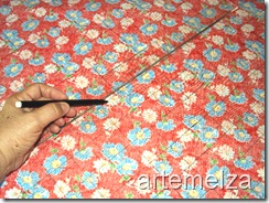 artemelza - chita desfiada artemelza - chita desfiada