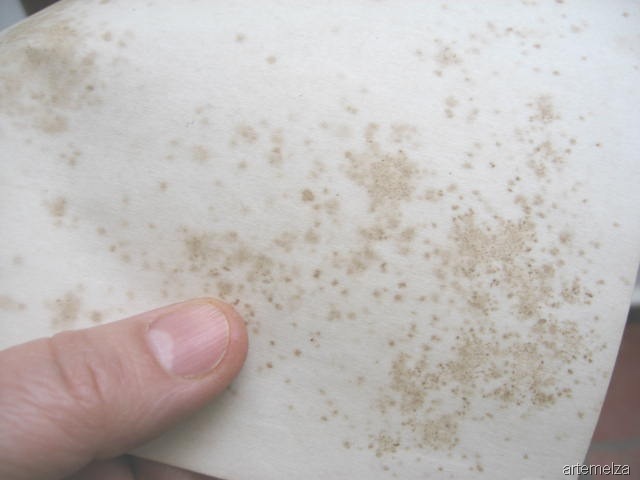 [blog 1321[6].jpg]