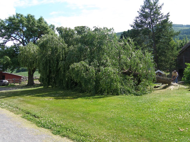 [Juli2008 013[4].jpg]