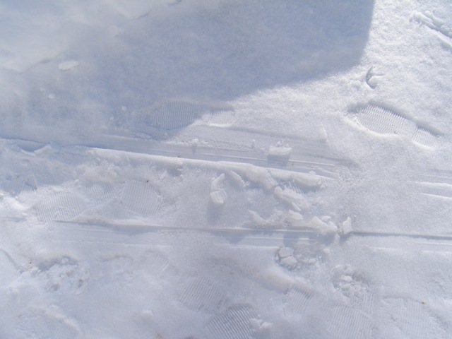 Febr2009 283