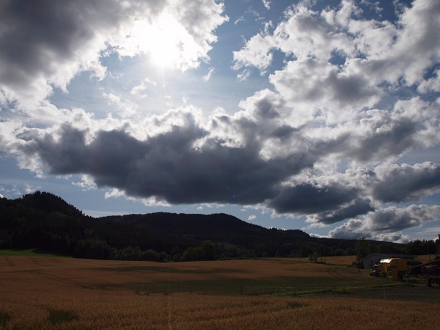 [Aug2009 335[4].jpg]