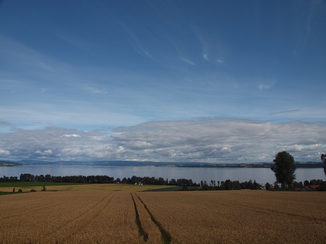 [Aug20091624.jpg]