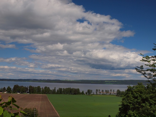 [P6147346[4].jpg]