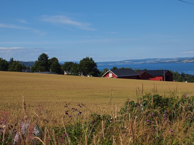 [P8088937[4].jpg]