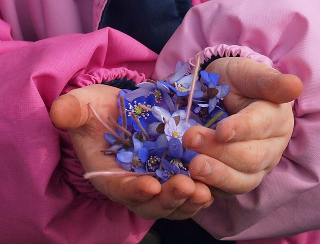 [P4100809[15].jpg]