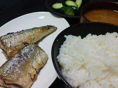 ハセガワアツシの夕食,長谷川淳の夕食,はせがわあつしの夕食,Atsushi Hasegawa,エゾノギシギシ用