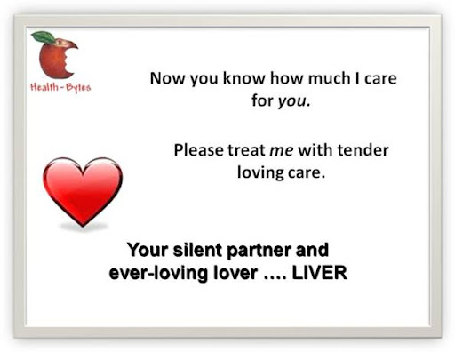 Your silent partner & ever loving lover -- liver Your silent partner & ever loving lover -- liver