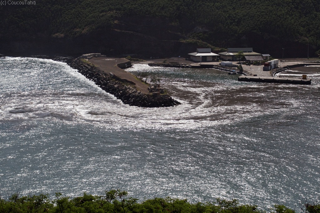 [IMG_4444DxO_raw[2].jpg]