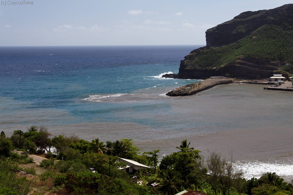 [IMG_4486DxO_raw[2].jpg]