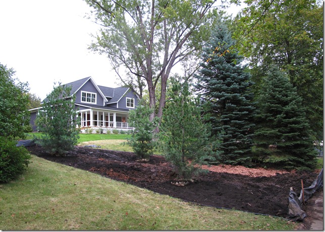 Neighbors Trees Close To Property Line Neighbors Trees Close To Property Line