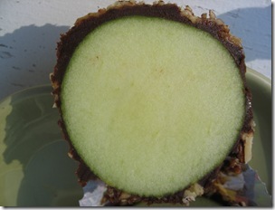 [apple[3].jpg]