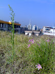 200811094094.jpg
