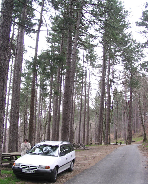 2006-04-09-L%C2%B4Albera_08.jpg