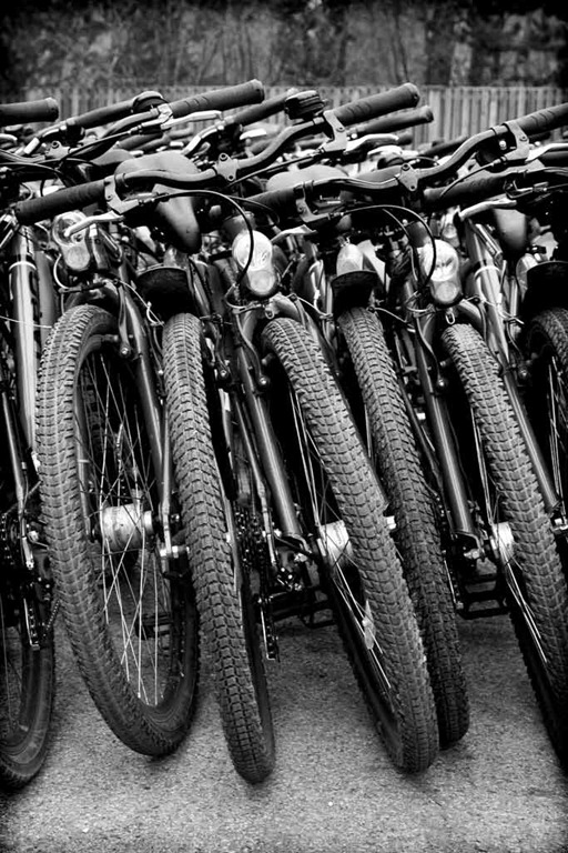 [The-Bikes-5[3].jpg]