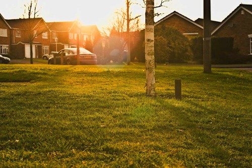 In-the-Suburbs