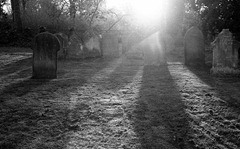 The-Graveyard-3---Film