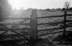 The-Fence-2---Film
