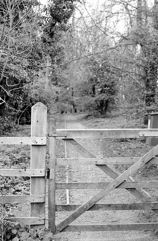 [The-Gate---Film[4].jpg]