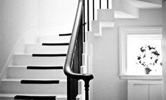 The-Stairwell
