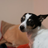 Jackson-New Camera