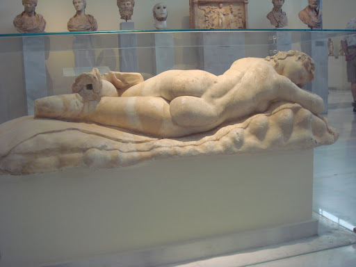 hermaphrodite