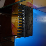 P1020921.JPG