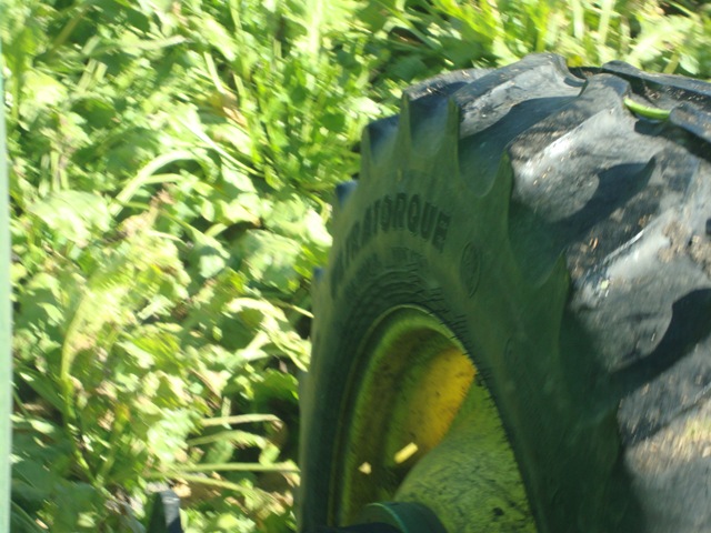 [DSC016193.jpg]