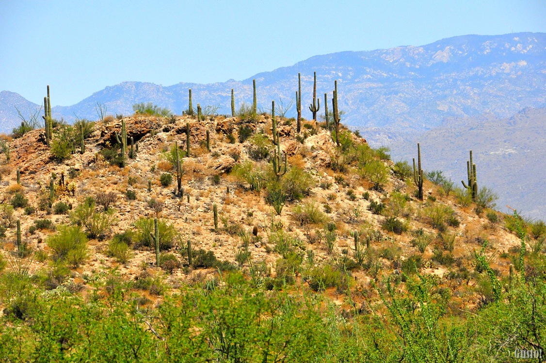 [DSC_0094[14].jpg]