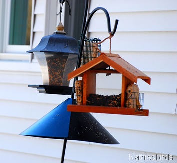 DSC_0025 DSC_0025