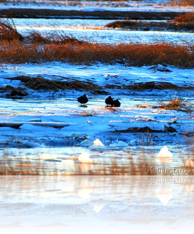 DSC_0056 DSC_0056