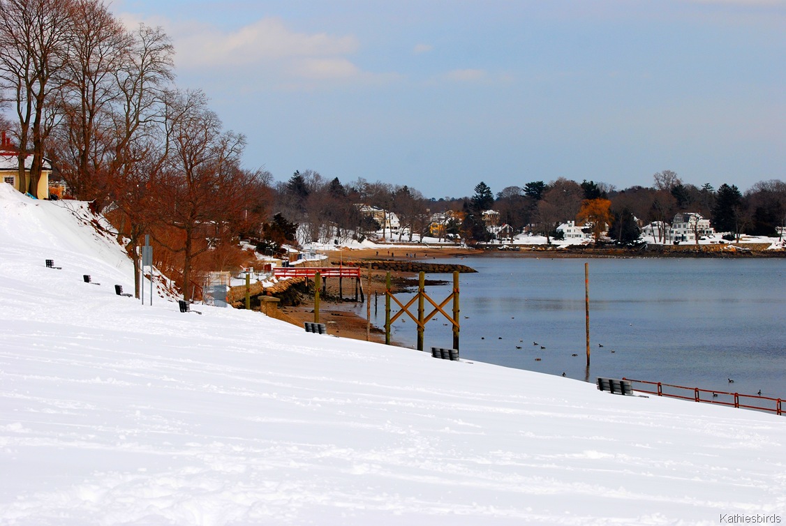 [DSC_0046[4].jpg]