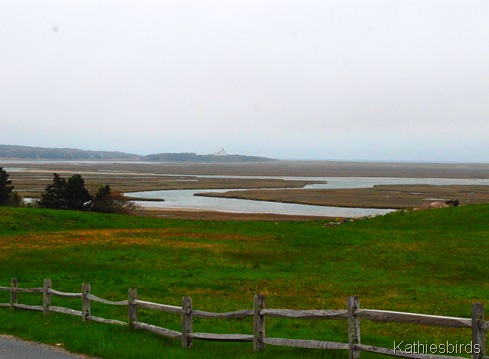 3. Nauset marsh