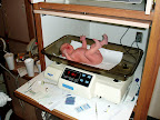 P1010003.JPG